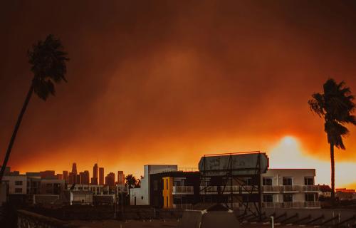 City skyline, palm trees and buildings with orange sky and flames